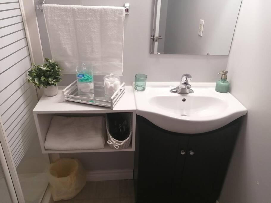 해밀턴 Cozy Nest Basement Unit 아파트 외부 사진